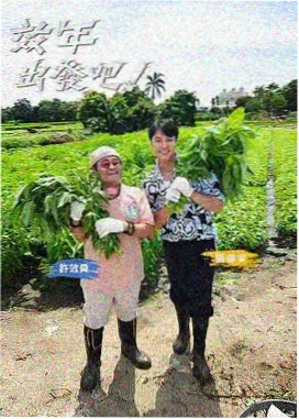 周末慢综艺榜单配图